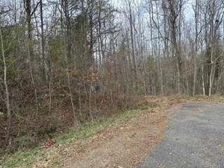 Overlook Trail, Hiawassee, Georgia image 1