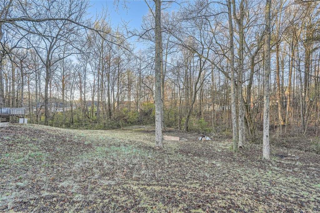 355 Double D Road, Temple, Georgia image 8