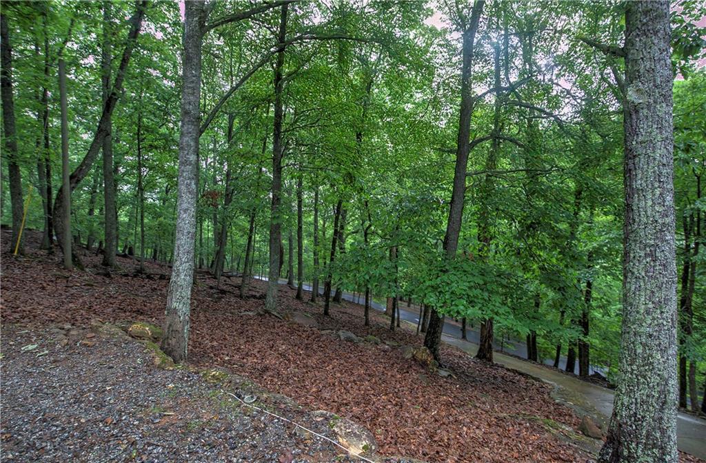 886 Lake Arrowhead Drive, Waleska, Georgia image 4
