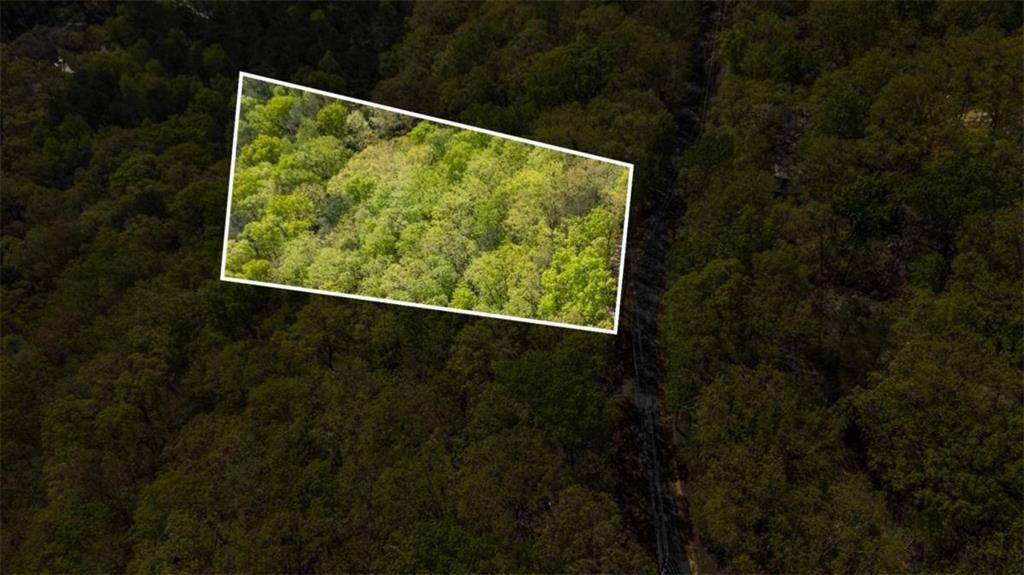 901 Lake Arrowhead Drive, Waleska, Georgia image 6
