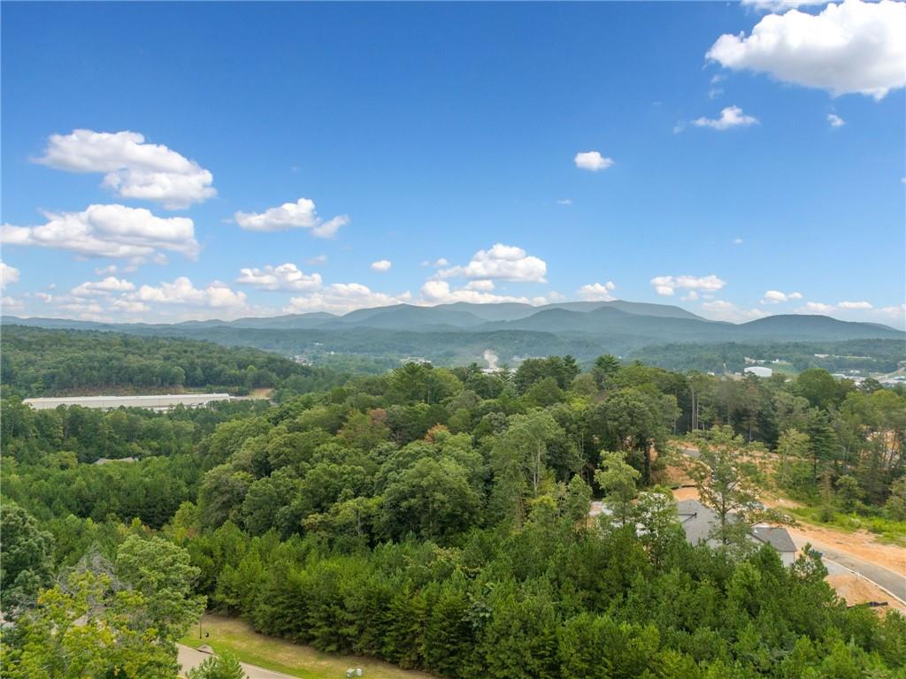 69 Pinnacle Way, Ellijay, Georgia image 41