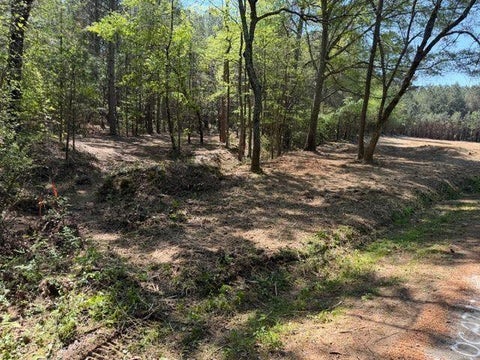 Vacant Land For Sale - 84 Popham Road Tract 1 Rd<br/> Taylorsville, GA 30178