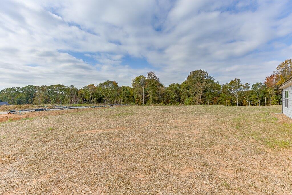 271 Franklin Hills Drive, Carnesville, Georgia image 36