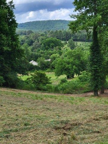 Anns Way, Blairsville, Georgia image 22