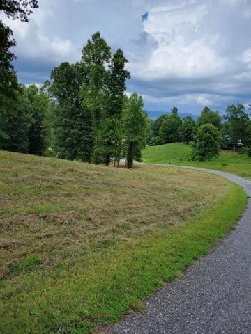 Anns Way, Blairsville, Georgia image 19