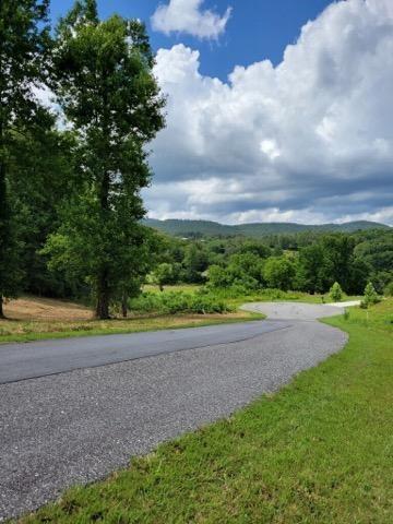 Anns Way, Blairsville, Georgia image 20