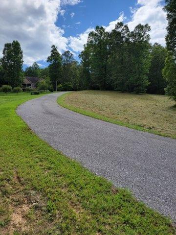 Anns Way, Blairsville, Georgia image 18