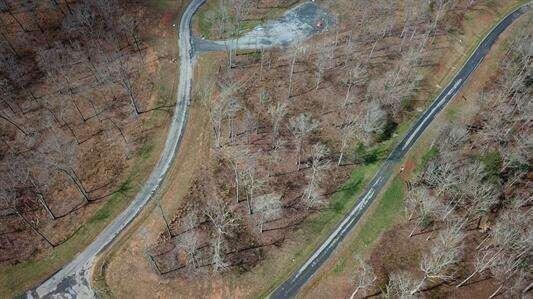 Come build the home of your dreams on this gorgeous 3.66-acre lot, located in the up-and-coming High River Subdivision. This gated community has spectacular views of the Blue Ridge Mountains, access to the private, Lake Lecroy, fishing, year-round river access, scenic areas for picnics or enjoying natures peaceful surroundings. The community is supplied with well water; paved roads and the club house is perfect for entertaining!
