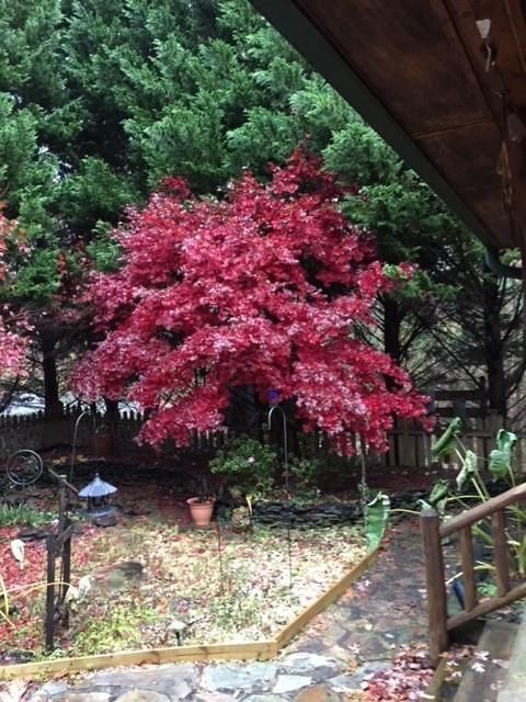 A home in Ellijay