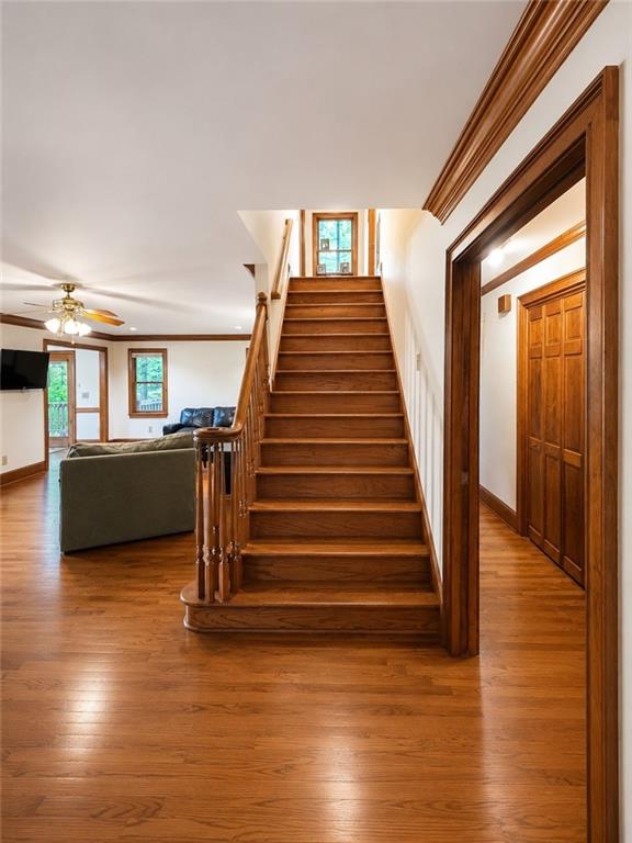 180 Hale Mountain Court