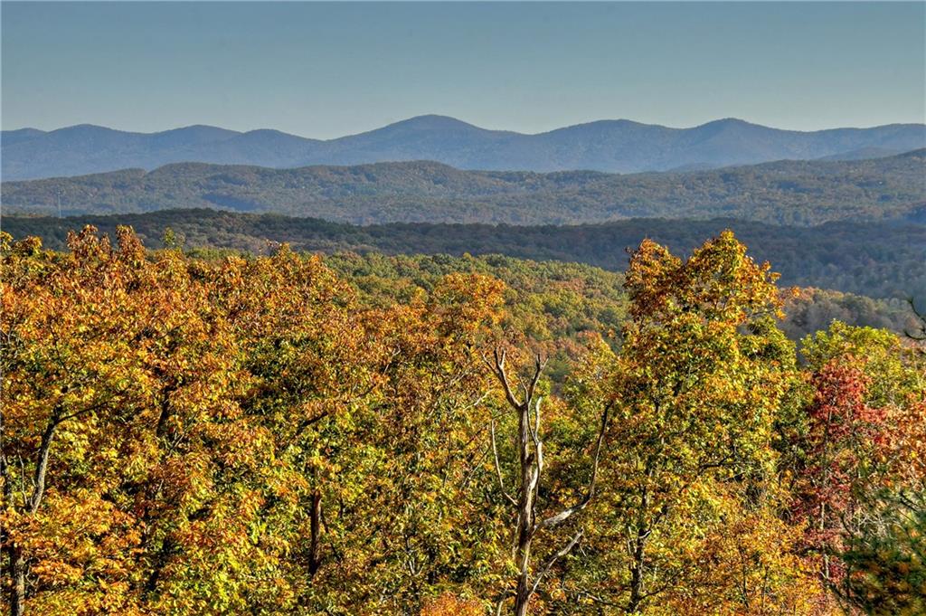 234 Oak Ledge Road, Morganton, Georgia image 49