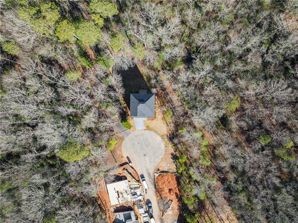 528 Wauka Drive, Demorest, Georgia image 47