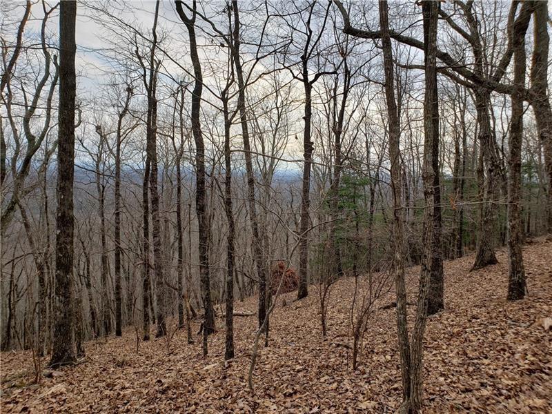 VIEWS! Build your forever dream home with amazing 270 degree long range views across Big Canoe. Enjoy stunning northern mountain vistas to Amicalola Falls, southern views to Atlanta skyline plus spectacular morning sunrises over Potts Mountain on one of the few remaining gentle sloping easy-build lots left in this highly desirable quick elevation Cox Mountain enclave located in Atlanta’s Premier Private Gated Residential Resort Community. This beautiful wooded 1+-Acre lot will have reduced foundation costs and a walk out terrace Level, and backs up to 8-10 acres of wooded untouched green space.
Excellent Level 3 Soil Test & Plat available. Seller has completed all the leg work, having a professionally high end designed house plans created with many unique and ergonomic features, soley for this property. Showcasing views from multiple living spaces to enjoy.
So, relax in this safe, tranquil piece of property on Cox Mountain amongst other million dollar+ homes with your family and friends, just minutes to Big Canoe's Golf, Club House/Restaurant, Racquet Club, Fitness Center, Lakes, Trails and other wonderful amenities just 1 hour drive North of Atlanta. Lap up Big Canoe’s fantastic Lifestyle -24 Hour staffed security/Gated Community, 27 holes of Golf, 6 Clay, 2 indoor Tennis and 10 Pickleball courts, multiple Pools, 3 Lakes with Fishing, Boating, Kayaks, Paddle-boarding, Canoeing and rentals; Jeep trail, Swim-club w/inflatable Water Park & Rock-slide, 25+miles of Hiking Trails, over 17,000 sqft Wellness Center (indoor lap pool, gym, squash court & fitness classes), magnificent Clubhouse and Restaurant.