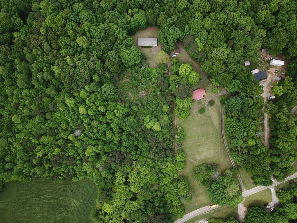 1251 Old Mill Road, Ball Ground, Georgia image 3