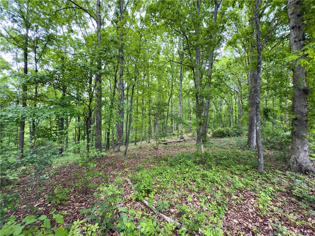 1251 Old Mill Road, Ball Ground, Georgia image 10