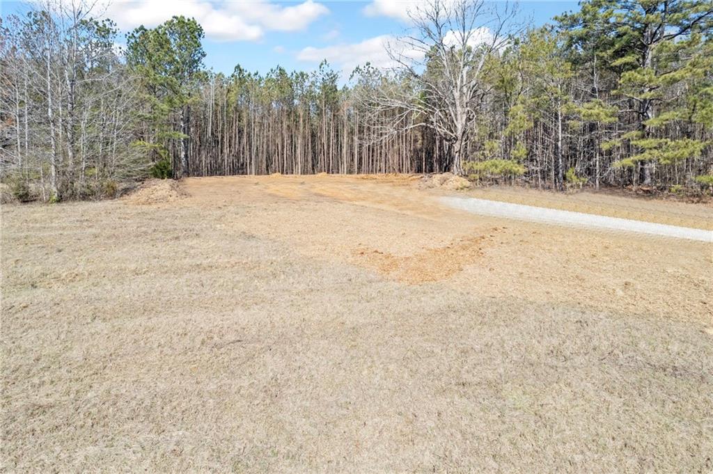 Tract4 Vinson Mountain Road, Rockmart, Georgia image 7