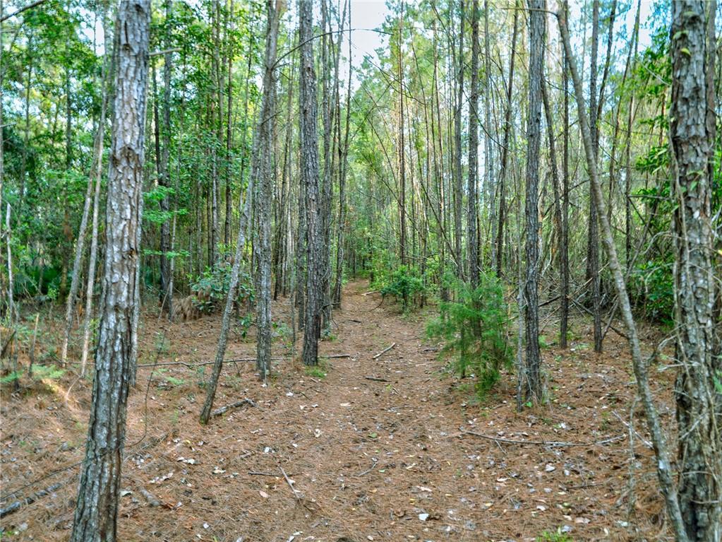 Marina Isle Dr, , Ga, Woodbine, Georgia image 6