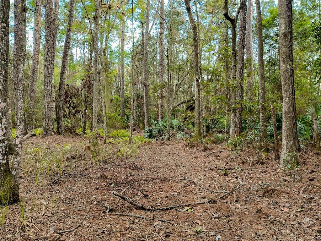 Marina Isle Dr, , Ga, Woodbine, Georgia image 5