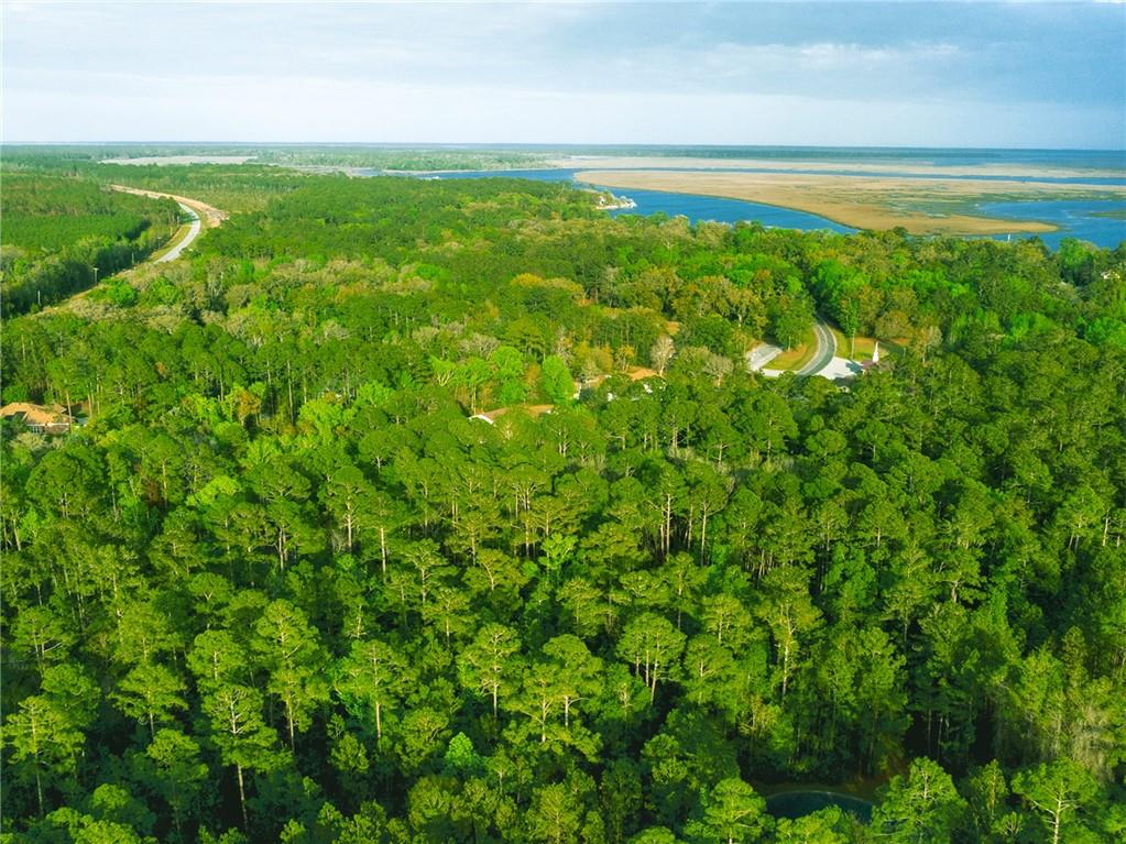 Marina Isle Dr, , Ga, Woodbine, Georgia image 10
