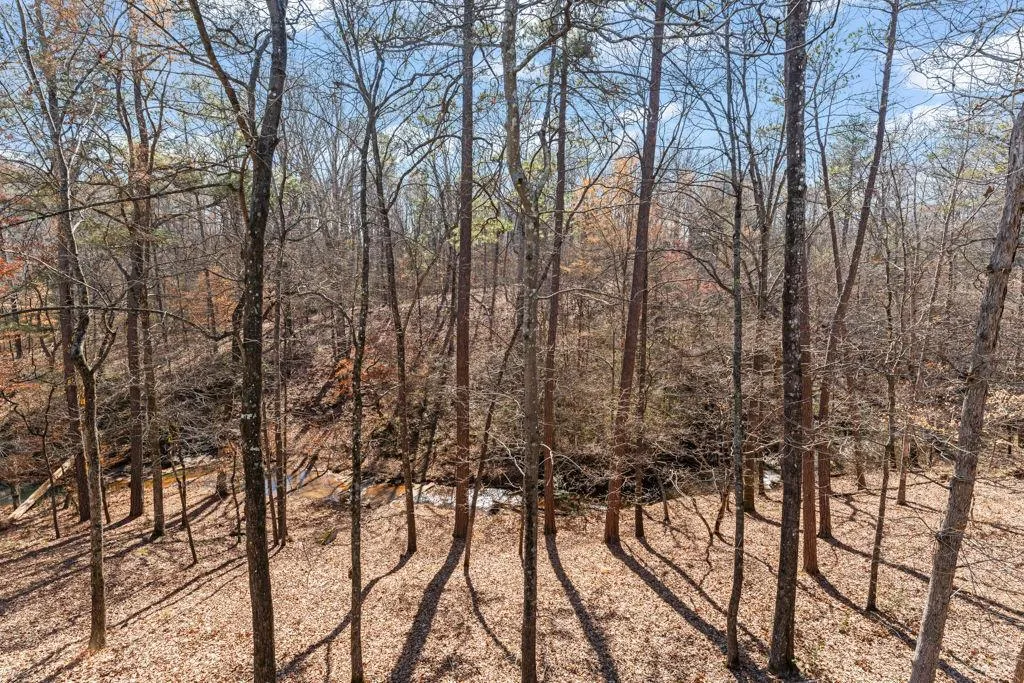 Dallas, Georgia 30157, United States, 5 Bedrooms Bedrooms, ,4 BathroomsBathrooms,Residential,Active,146456