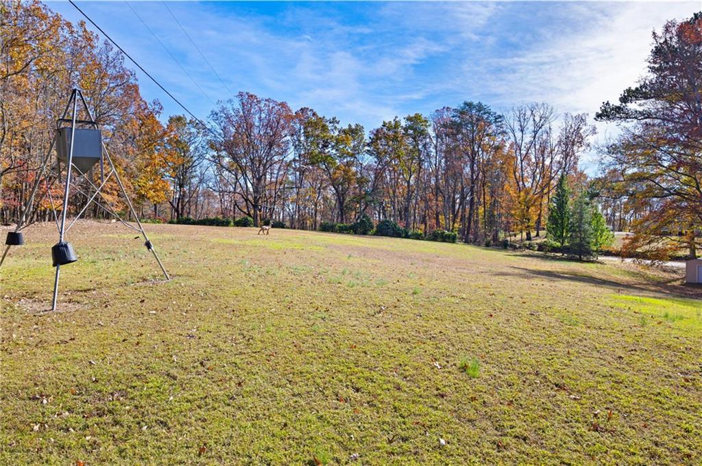 2033 Old Grandview Road, Jasper, Georgia image 28