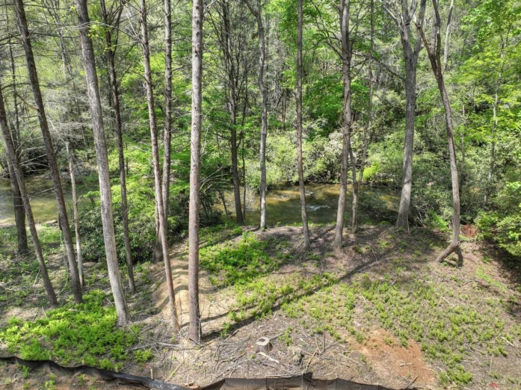 LOT 12 Hemlock Trail, Blue Ridge, Georgia image 12