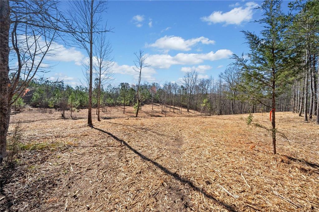 426 Mt. Olive Church Lane