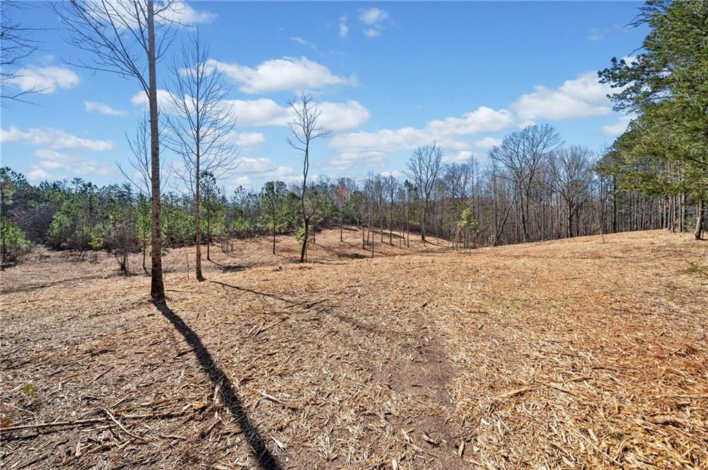 426 Mt. Olive Church Lane