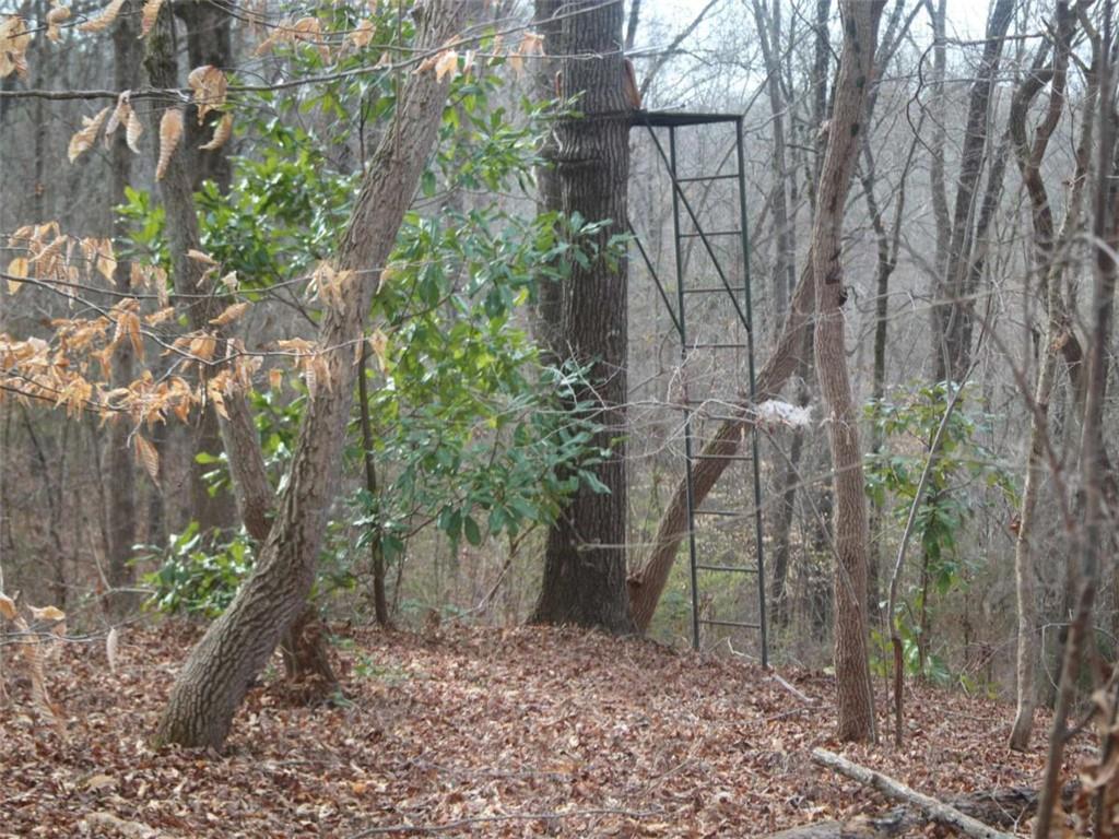 1087 Highway 145, Royston, Georgia image 25