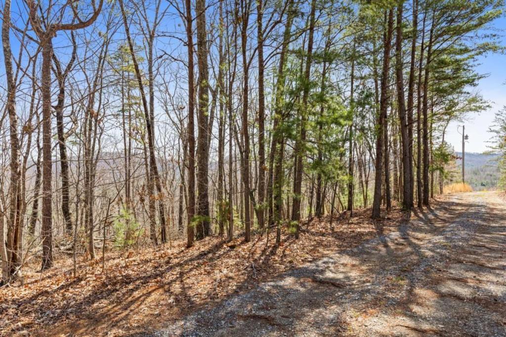 40A Synacia Road, Mineral Bluff, Georgia image 11