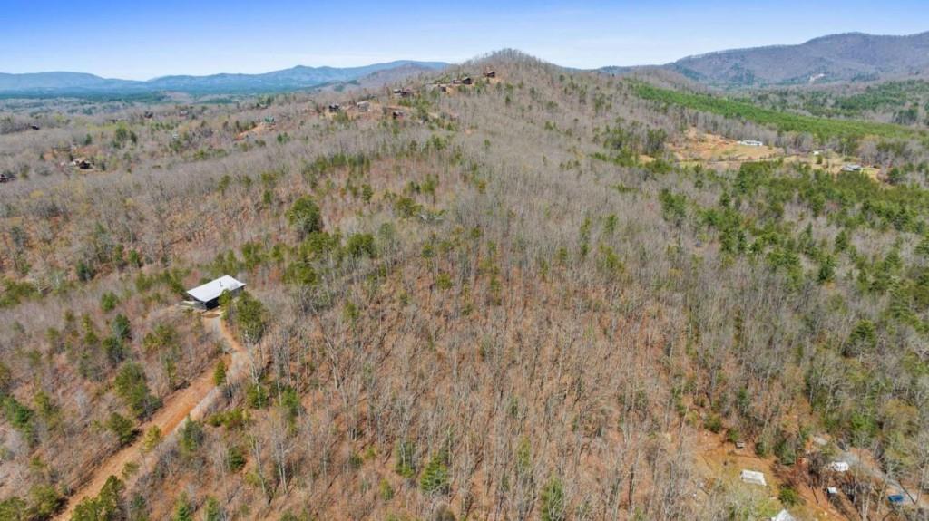 40A Synacia Road, Mineral Bluff, Georgia image 9
