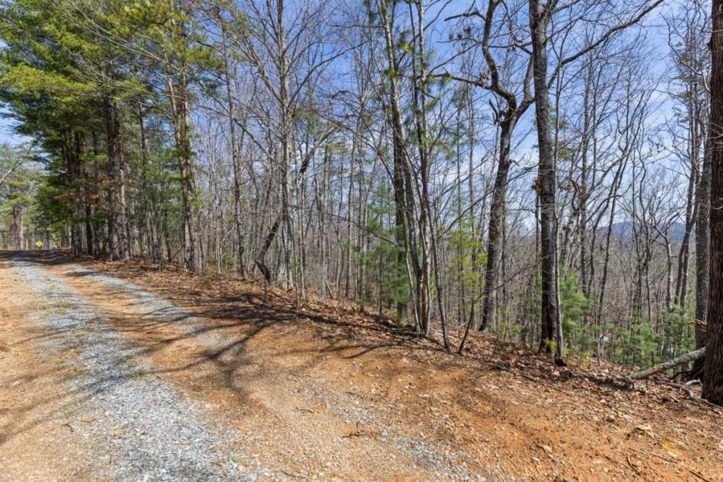 40A Synacia Road, Mineral Bluff, Georgia image 14