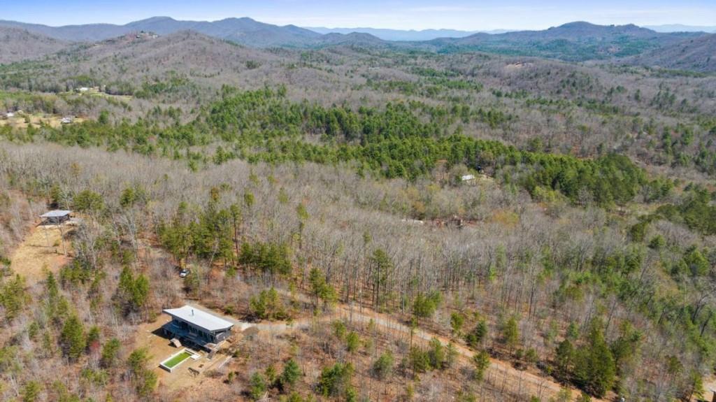 40A Synacia Road, Mineral Bluff, Georgia image 6