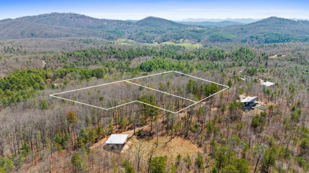 40A Synacia Road, Mineral Bluff, Georgia image 3