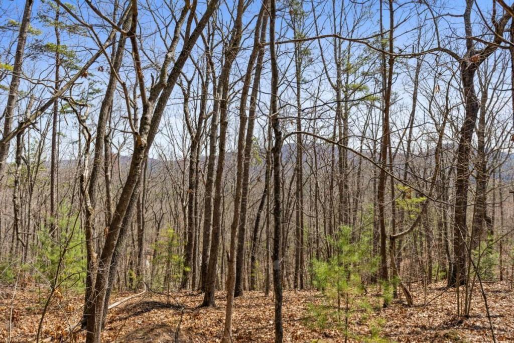 40A Synacia Road, Mineral Bluff, Georgia image 16