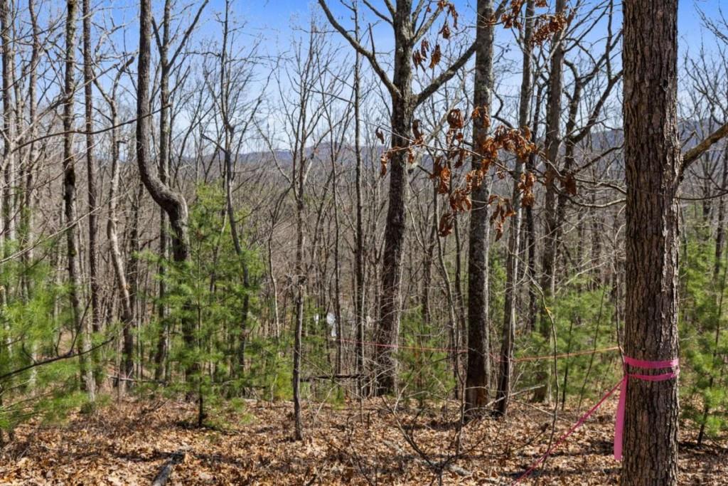 40A Synacia Road, Mineral Bluff, Georgia image 13