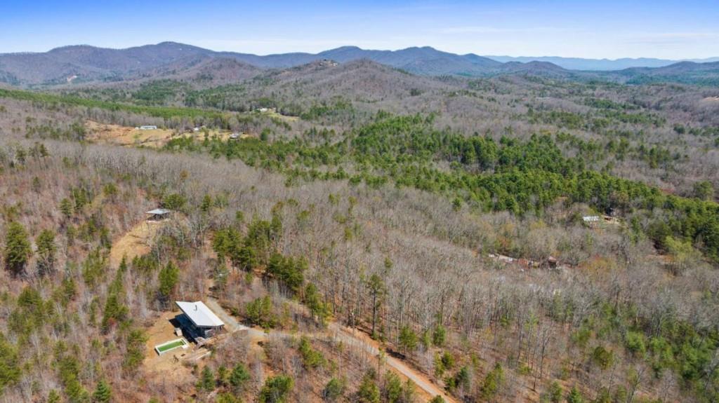 40A Synacia Road, Mineral Bluff, Georgia image 7