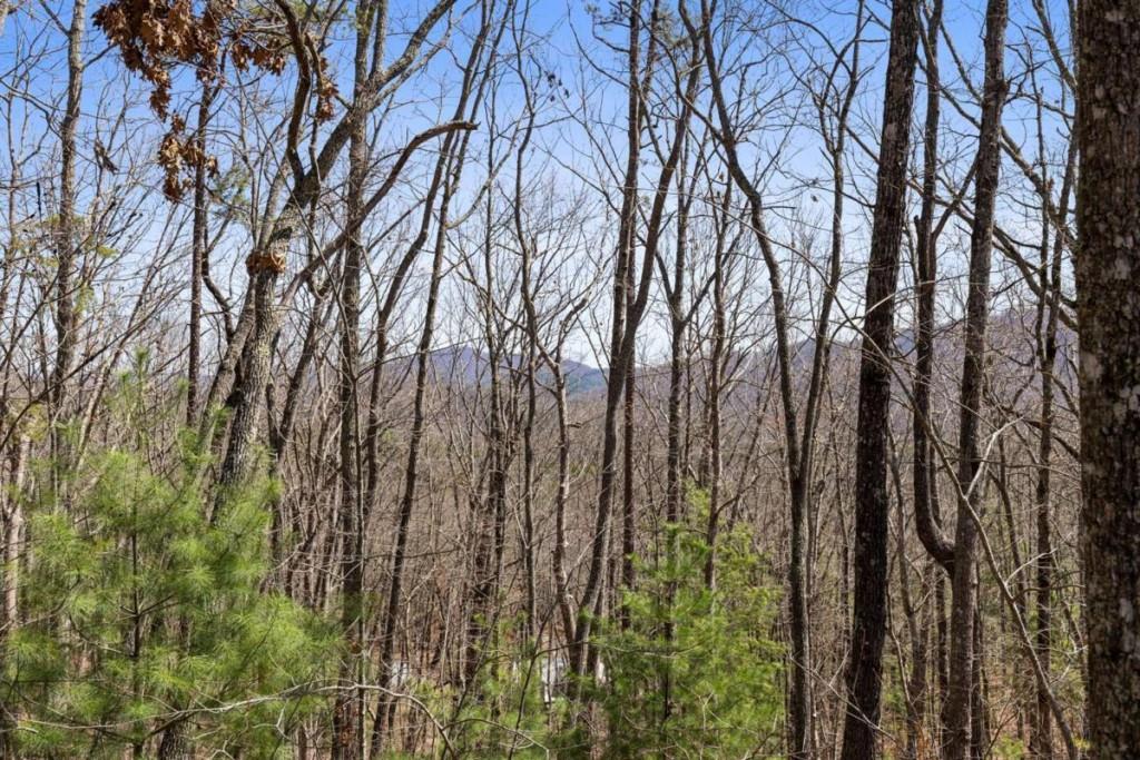 40A Synacia Road, Mineral Bluff, Georgia image 15