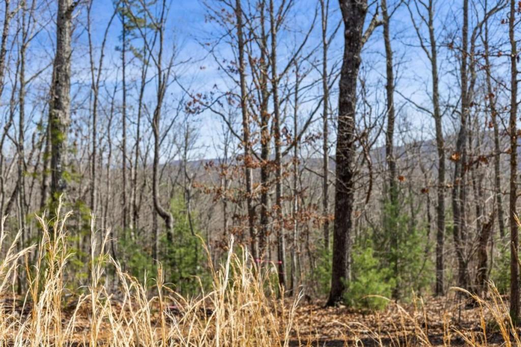40A Synacia Road, Mineral Bluff, Georgia image 12