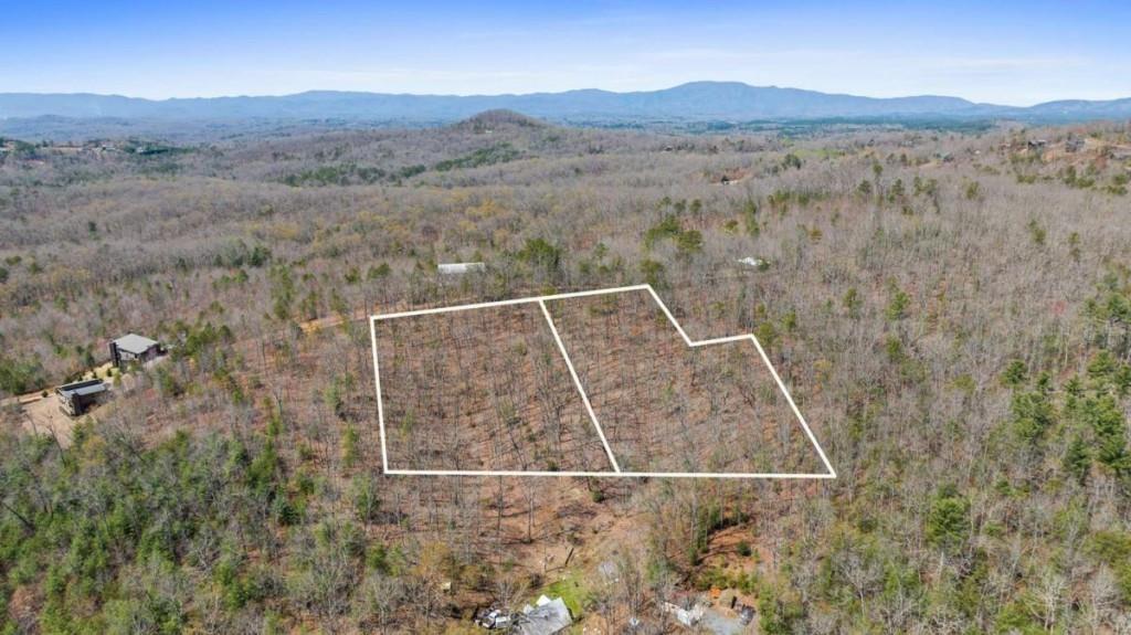 40A Synacia Road, Mineral Bluff, Georgia image 2