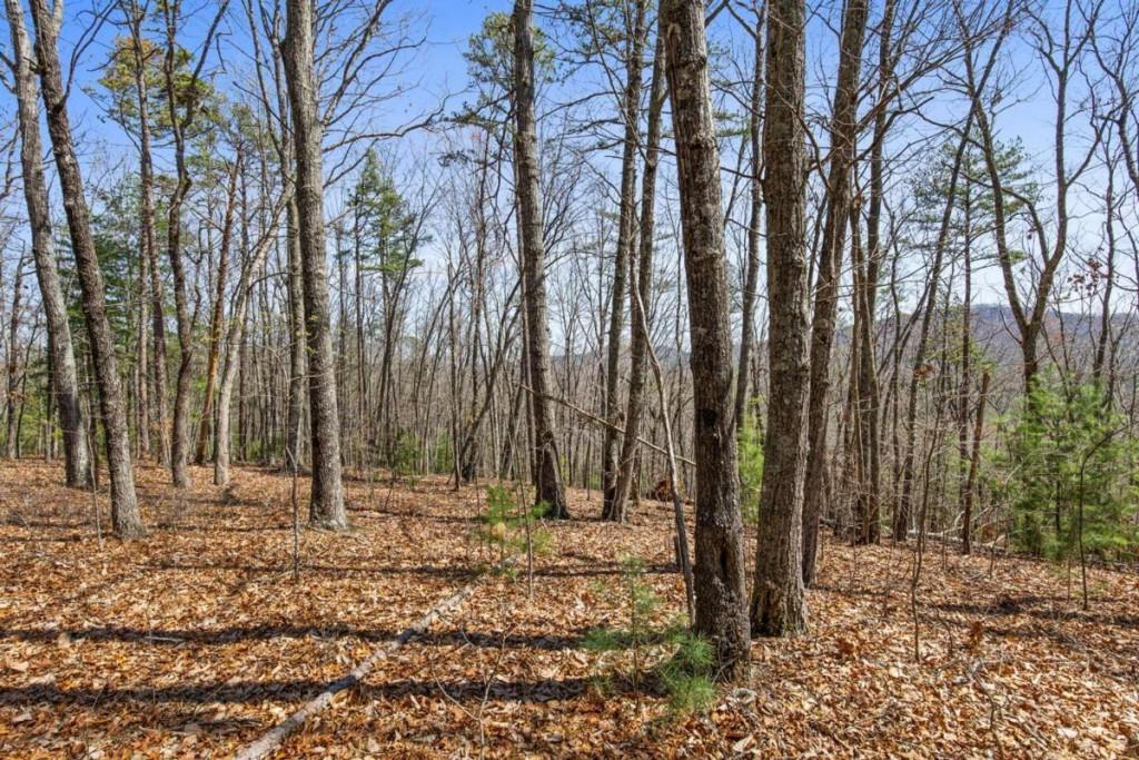 40A Synacia Road, Mineral Bluff, Georgia image 17