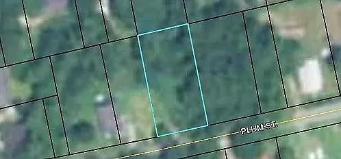145 Plum Street, Haddock, GA, 31032