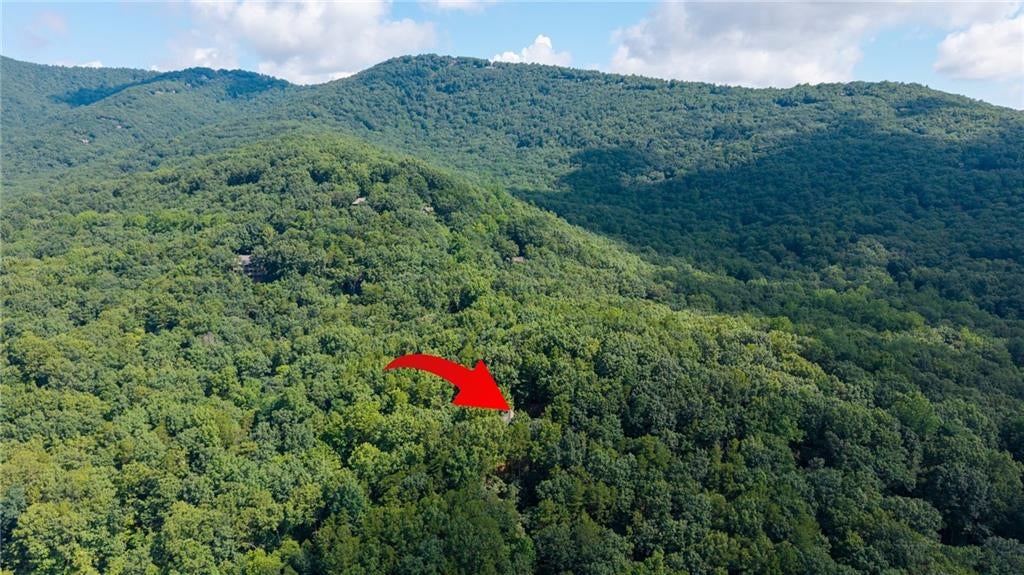 51 Trout Lily Trail
