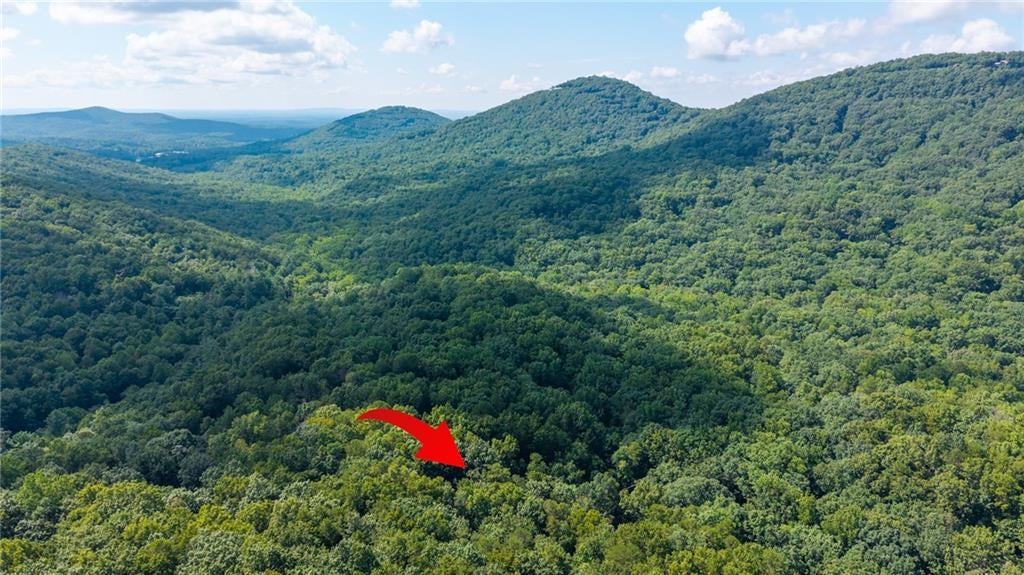51 Trout Lily Trail