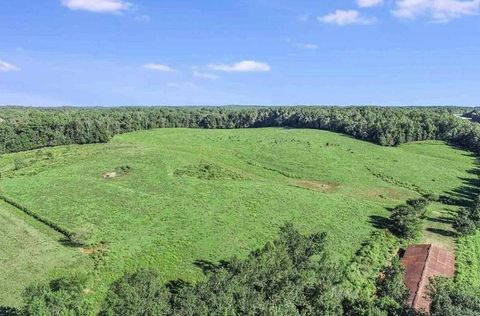 Vacant Land For Sale - 1340 441 Express Way<br/> Mount Airy, GA 30563