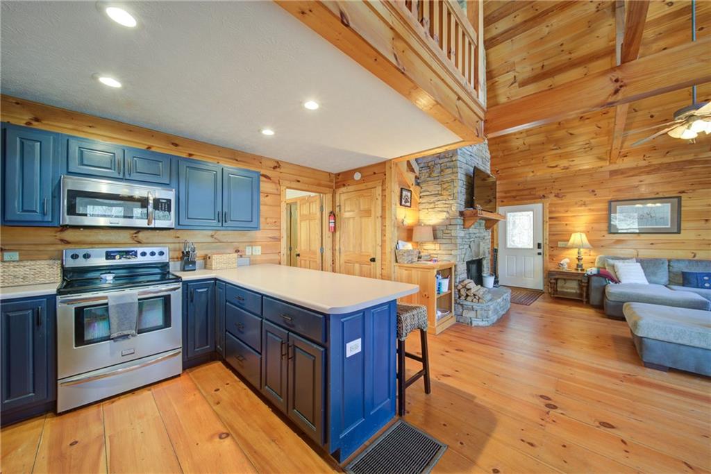 265 Echo Lane, Ellijay, Georgia image 16