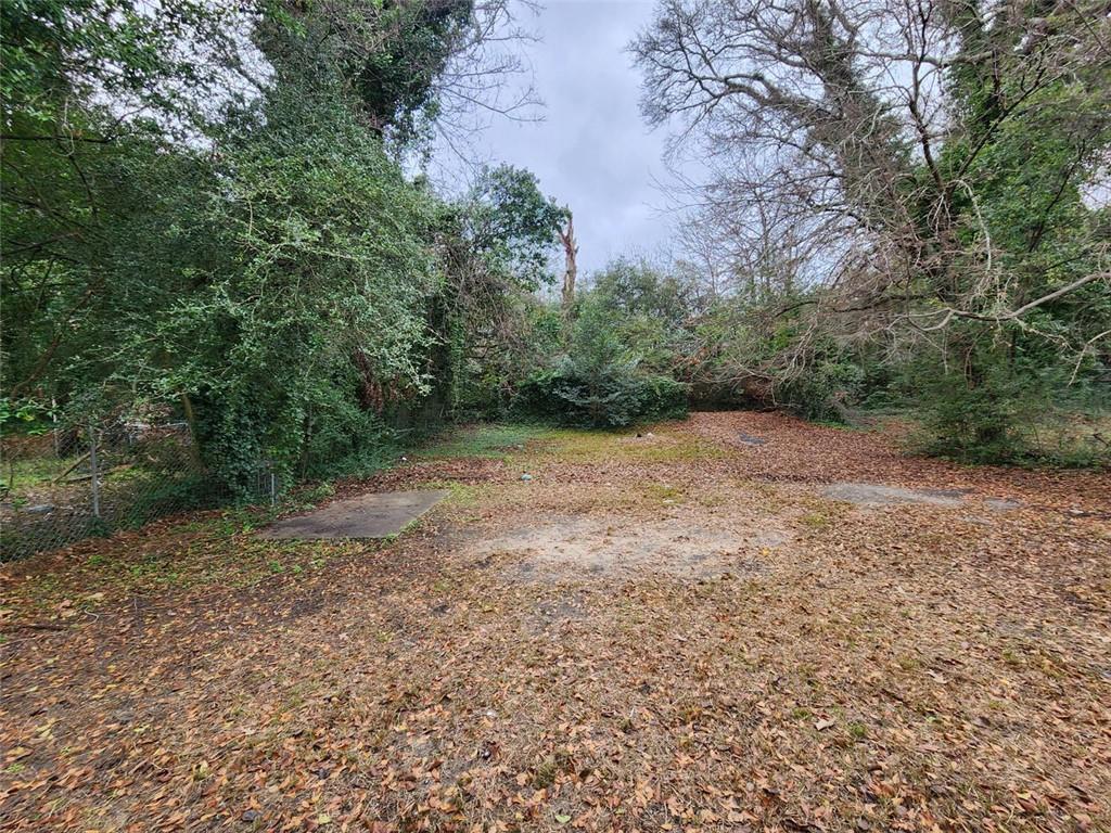 1291 Blackmon Avenue, Macon, Georgia image 12