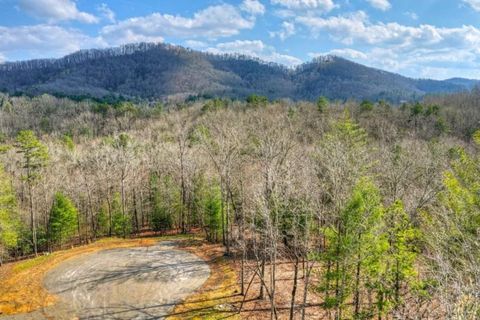 Vacant Land For Sale - LT 13 Rocky Ridge<br/> Mineral Bluff, GA 30559