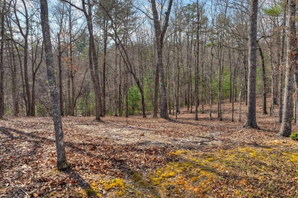 LT 13 Rocky Ridge