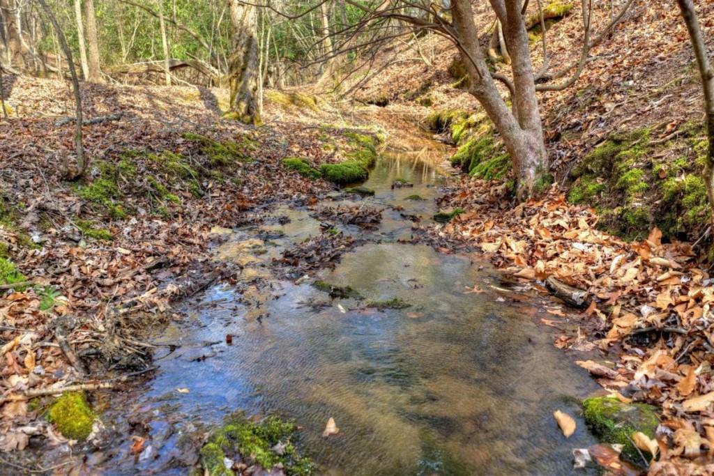 LT 13 Rocky Ridge